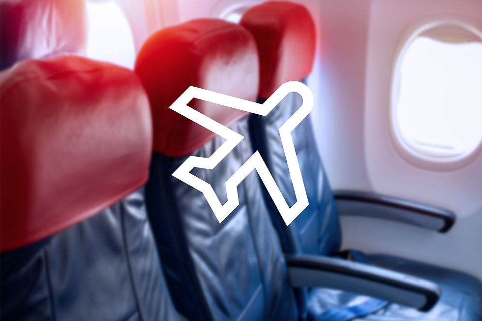 Airline Industry